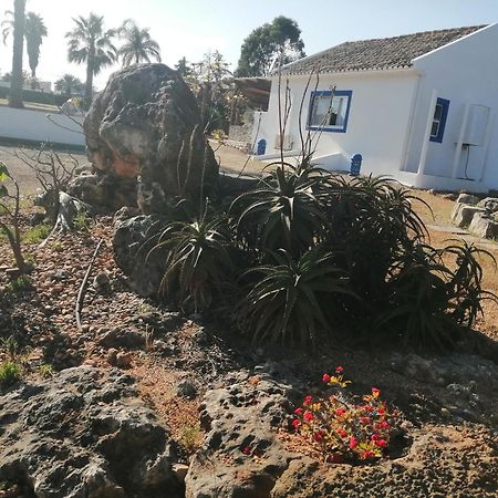 Duas Casas De Ferias Medronhal Faro Em 520 - 2 Eksteriør bilde