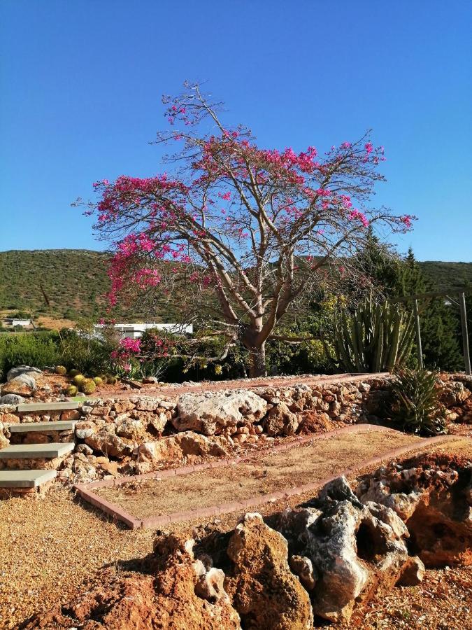 Duas Casas De Ferias Medronhal Faro Em 520 - 2 Eksteriør bilde