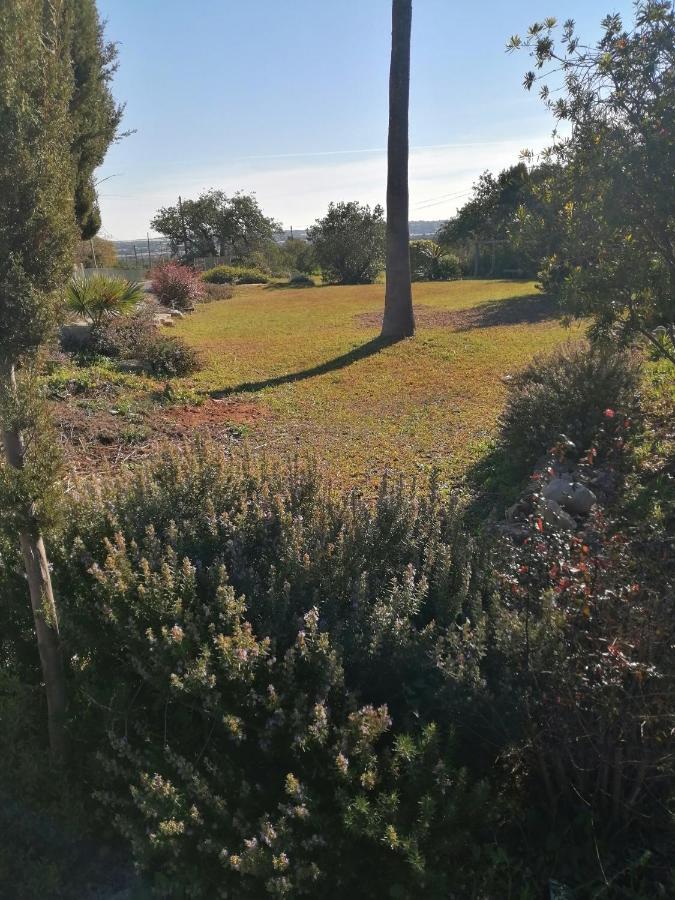 Duas Casas De Ferias Medronhal Faro Em 520 - 2 Eksteriør bilde