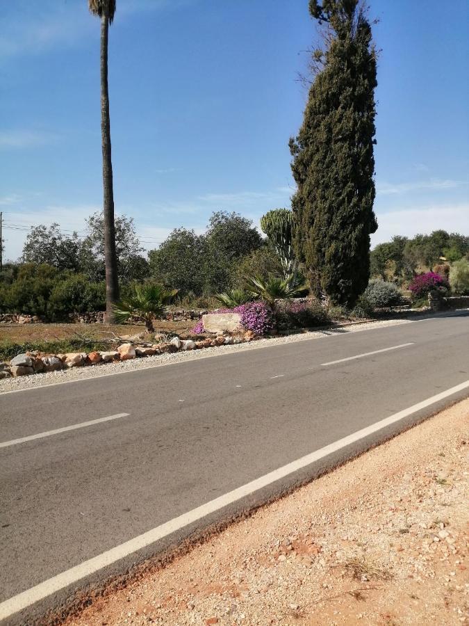 Duas Casas De Ferias Medronhal Faro Em 520 - 2 Eksteriør bilde