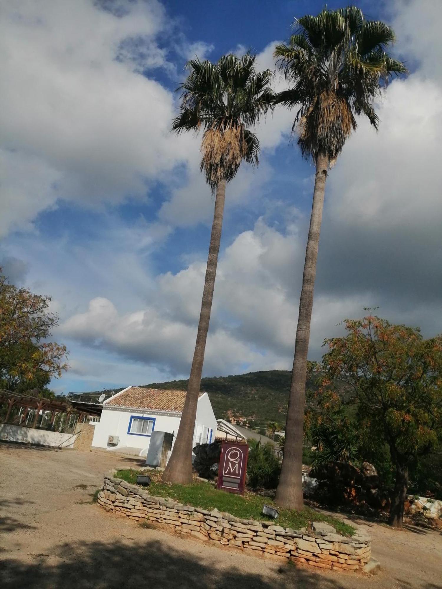 Duas Casas De Ferias Medronhal Faro Em 520 - 2 Eksteriør bilde