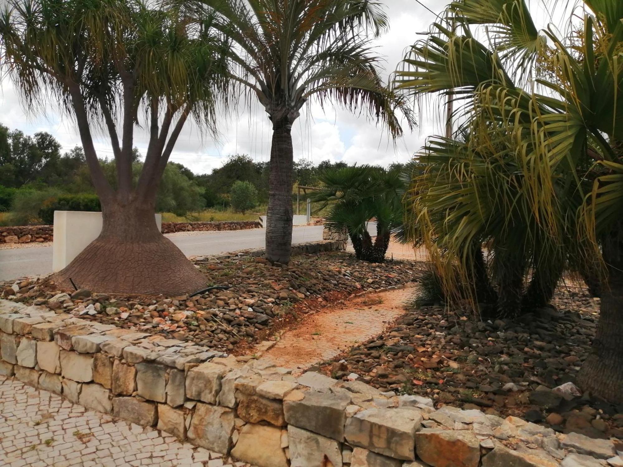 Duas Casas De Ferias Medronhal Faro Em 520 - 2 Eksteriør bilde